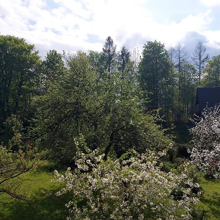 Apartament Bolek I Apartament Lolek Zakopane Kültér fotó