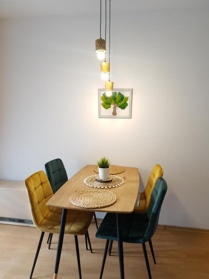 Apartament Bolek I Apartament Lolek Zakopane Kültér fotó