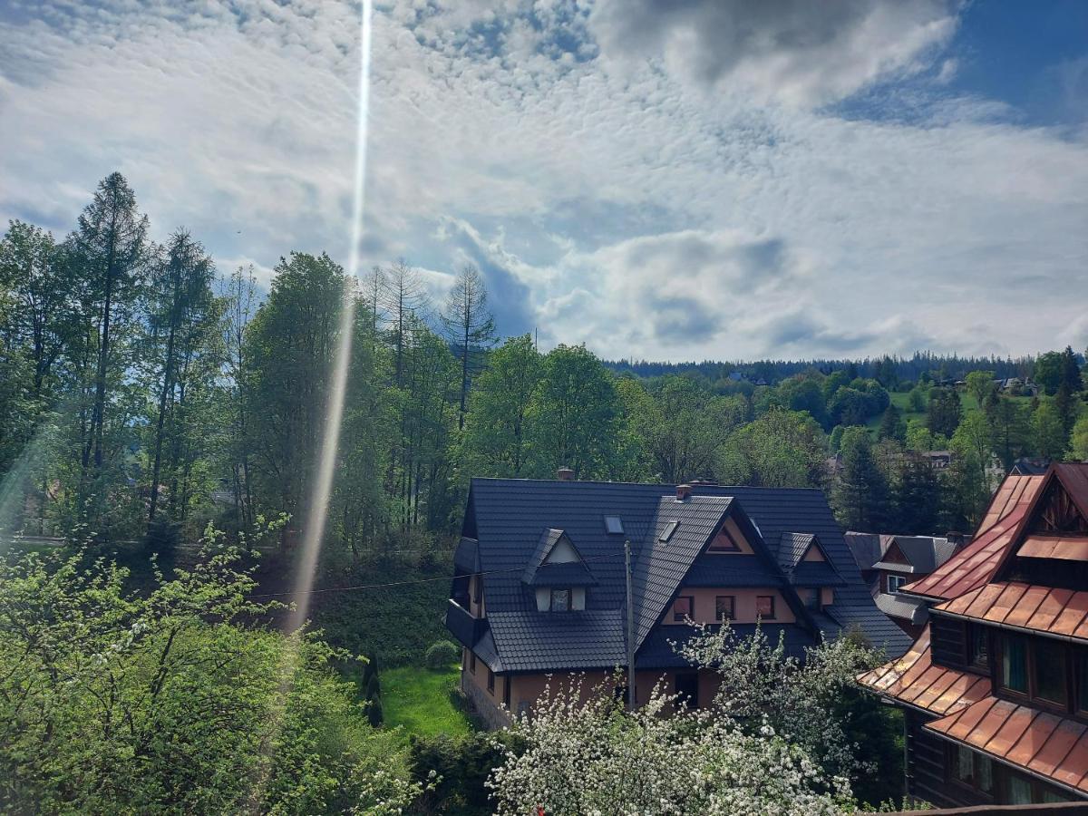 Apartament Bolek I Apartament Lolek Zakopane Kültér fotó